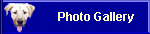  Photo Gallery  